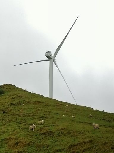Wind turbine, Pahiatua Track