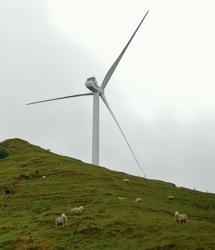 Wind turbine, Pahiatua Track