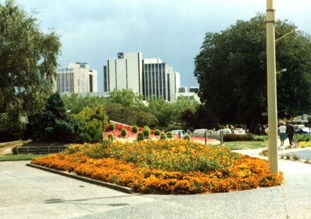 Gardens in The Square