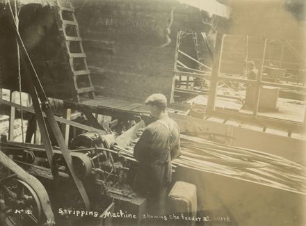 Stripping machine at work, Miranui Flaxmill, near Shannon