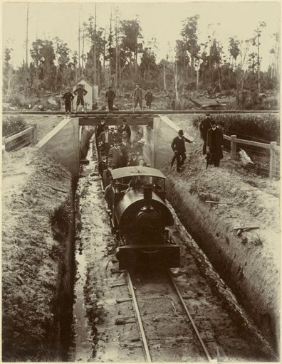 A & L Seifert Flaxdressing Company Ltd locomotive, near Shannon