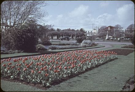 Flower Beds in The Square, Palmerston North