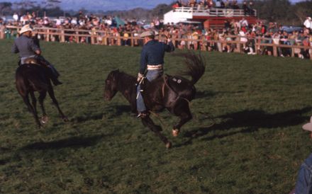 Linton Rodeo