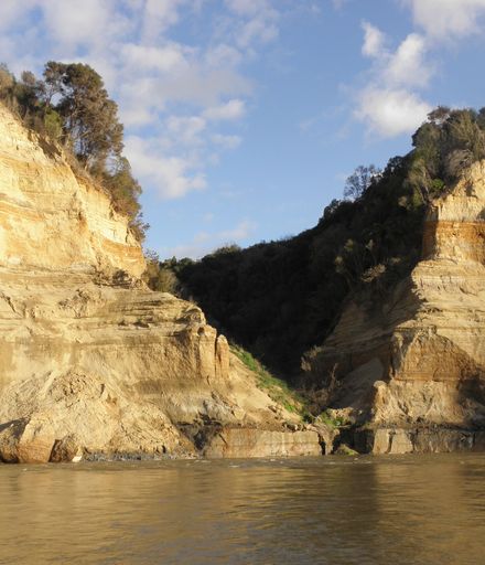 Manawatu River banks