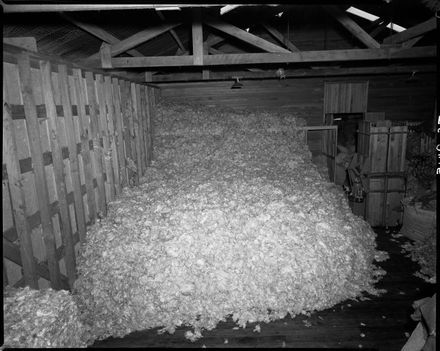 Woolshed, Weber - Resource cover image