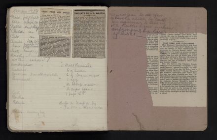 Ann Jacques Diary - 87