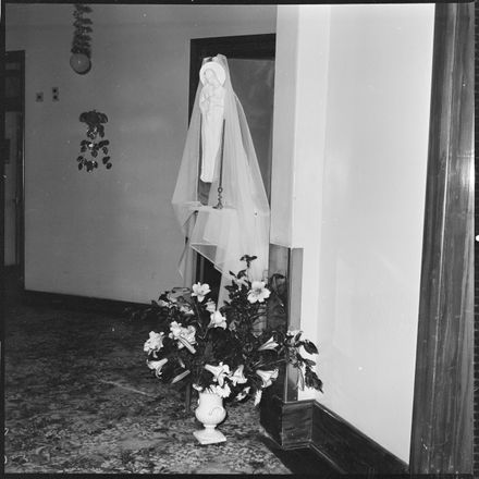 At the Mater Hospital - Resource cover image