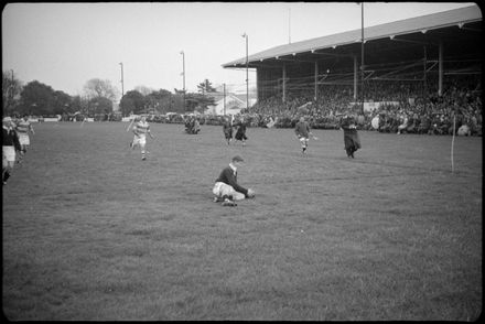 Rugby: Manawatu v Wellington