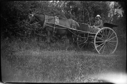 Horse and cart with driver - Resource cover image