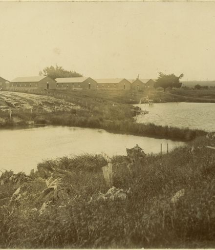 Miranui Flaxmill and ponds, near Shannon