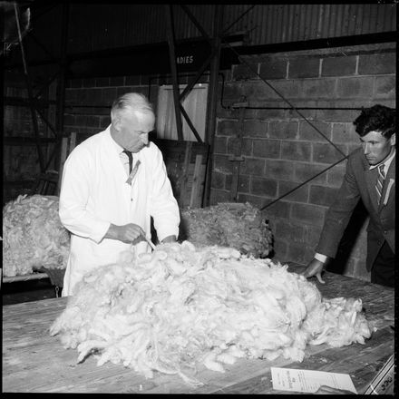 "Fleeces Judged at Show"