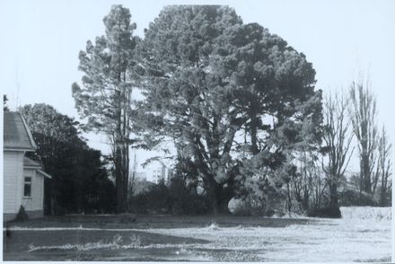 Caccia Birch Pre-Restoration Photograph