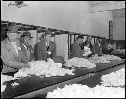 "Fleeces Classes by Experts"