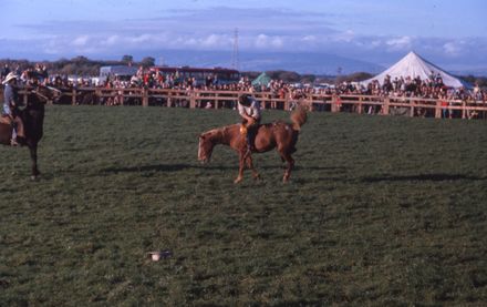 Linton Rodeo