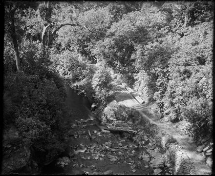 Pipes in the bush - unknown location - Resource cover image