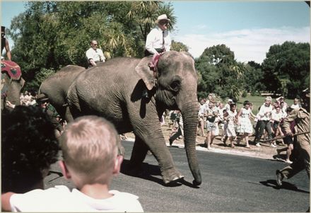 Carnival of the Lake elephant race, Palmerston North