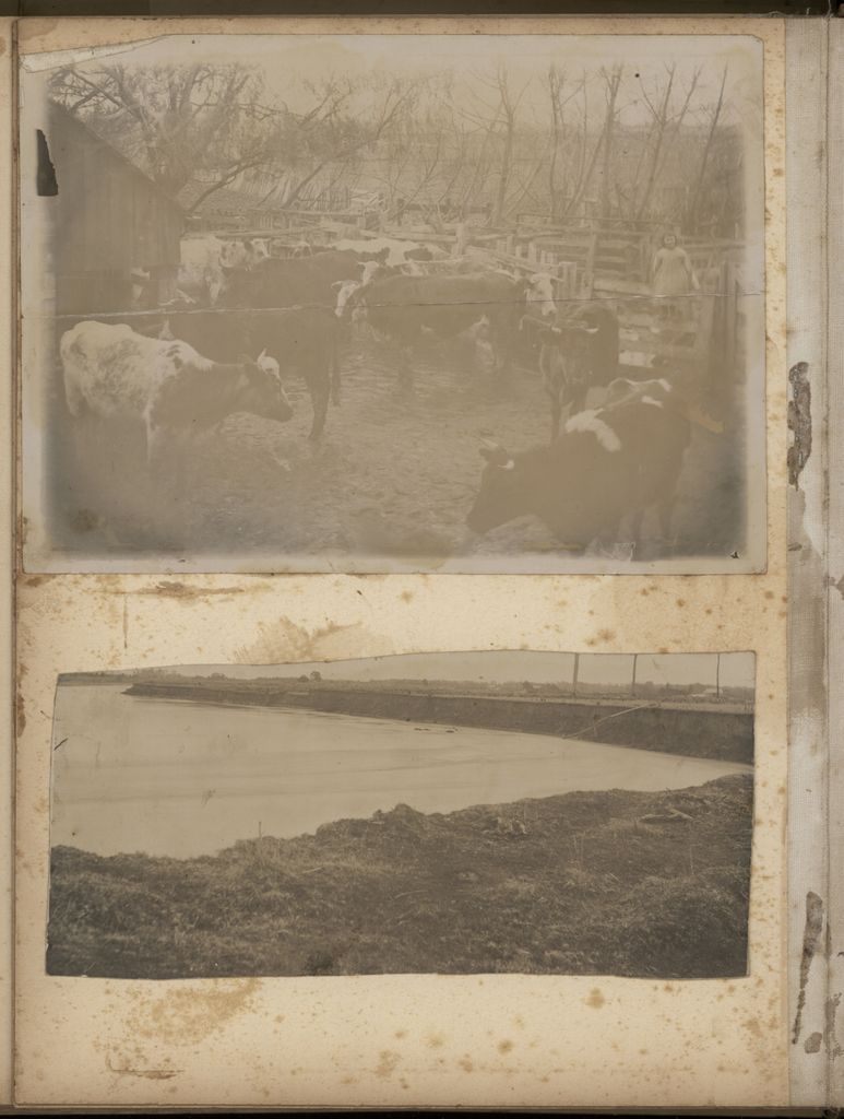 2020P_Monrad-S5V5_032987_026