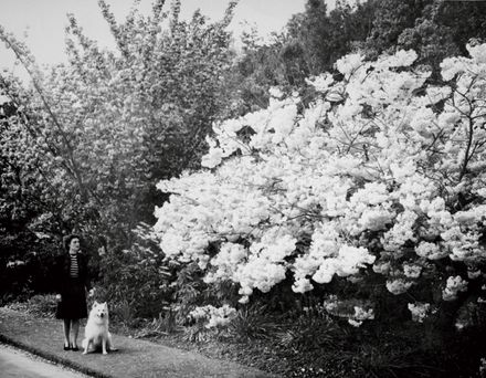 Woman and Dog in Victoria Esplanade