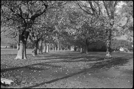 2022N_2022-38_P269_039439_020