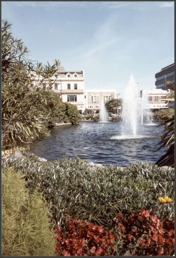 Fountain in Butterfly Lakelet