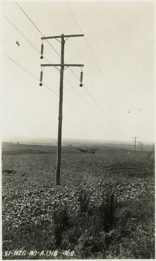 An Old Pole on the Mangahao Line - Resource cover image
