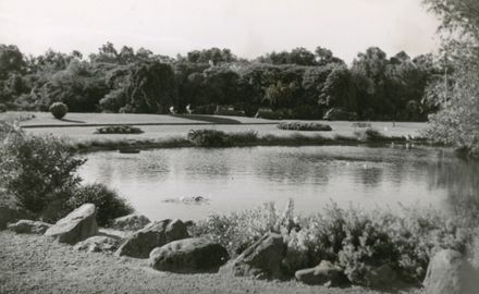 Lily Pond, Victoria Esplanade