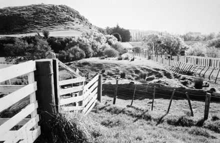 View of Aokautere