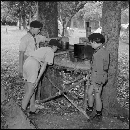 "Great Life for Boys in Scout Camp"