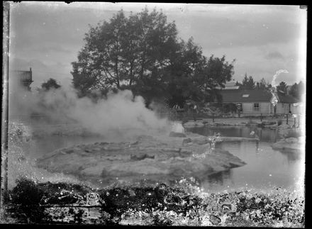 View of Thermal Pools, Rotorua