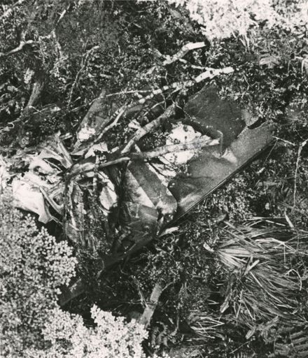Skyhawk crash in Ruahine Ranges