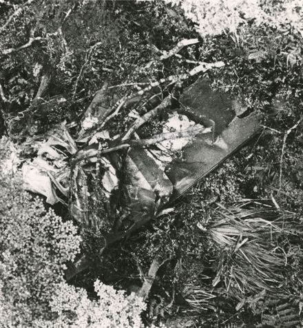 Skyhawk crash in Ruahine Ranges