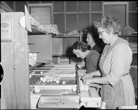 "Eggs, Eggs and More Eggs"