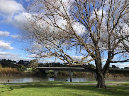 "Tranquility" - Bridge over the Manawatū River