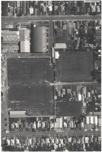 Aerial Map, 1986 - Showgrounds