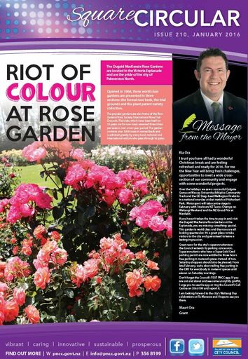 Square Circular - January 2016