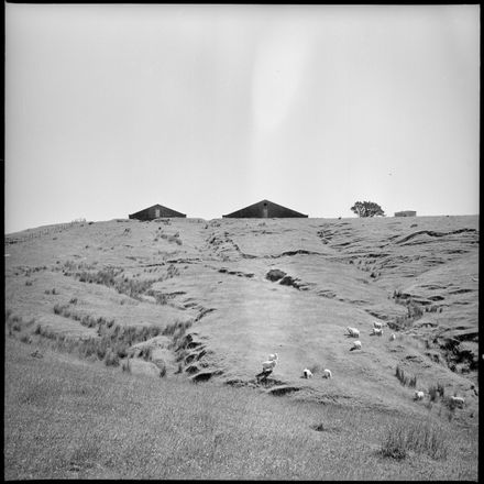 [Woodville Farmland] - Resource cover image