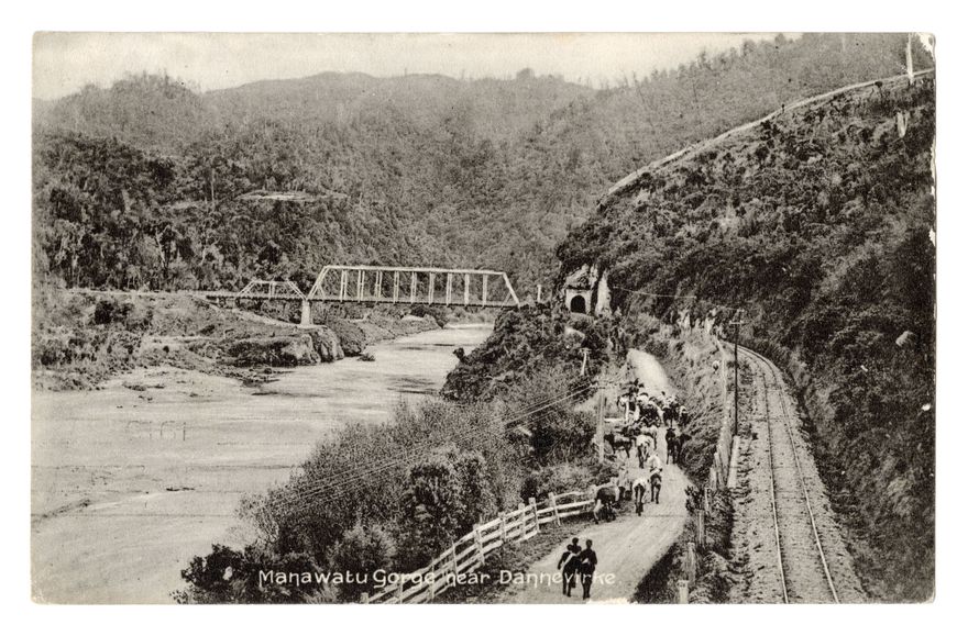 Postcard - Gorge near Dannevirke