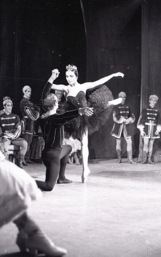 "Swan Lake" Ballet - Resource cover image