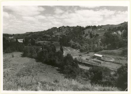 Sheep Run in Pohangina Valley