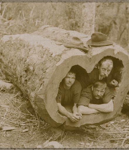 Three men in a log