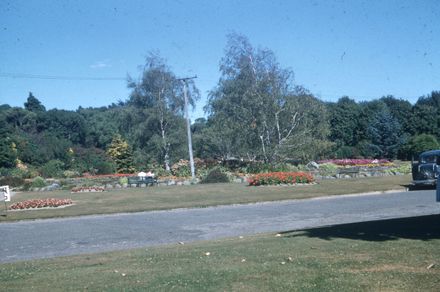 Flowering Herbaceous Bedding Plants at the Victoria Esplanade
