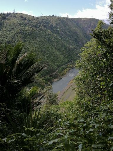 View of Te Āpiti - Manawatū Gorge