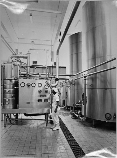 Milk processing machinery at the Longburn Dairy Factory