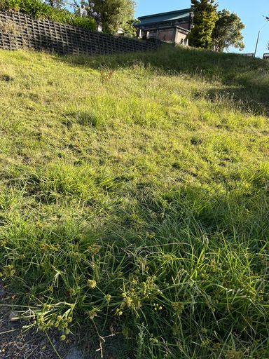 Headstone - Public Reserves 2, 3 and 4 - Resource cover image