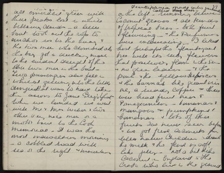 Ann Jacques Diary - 41