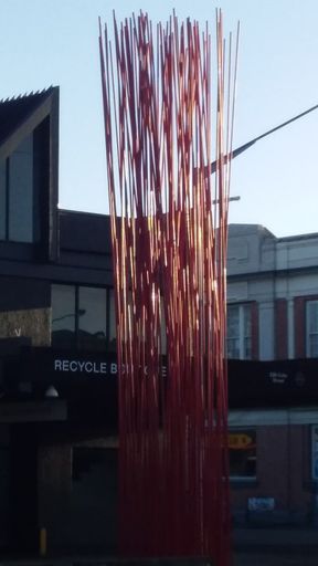 Cuba Street Reeds in the dawn