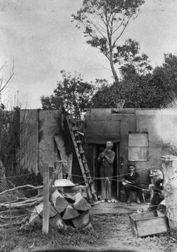 Peter Gray's hut on the banks of Manawatu River