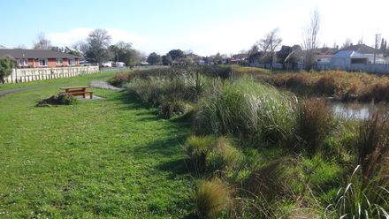 Wetlands at Norton Park 2