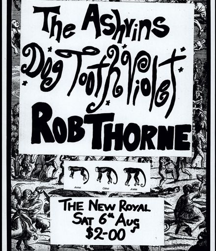 The Stomach - Ashvins, Dog Tooth Violet, Rob Thorne