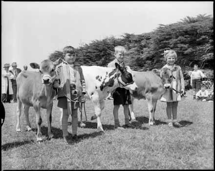 "Budding Young Farmers" Whakarongo School Calf Day